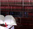 Criminal Law Matters